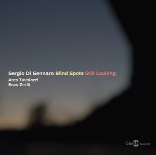 Blind Spots - Still Looking