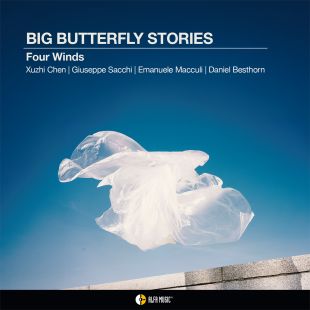 BIG BUTTERFLY STORIES