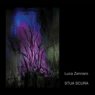 Stua scura