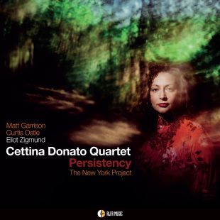 Persistency (The New York Project)
